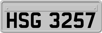 HSG3257
