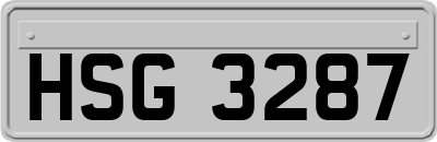 HSG3287