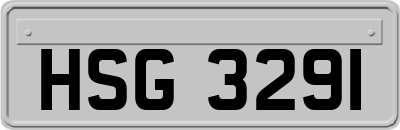 HSG3291