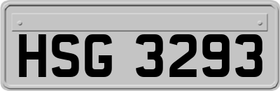 HSG3293