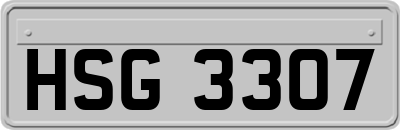 HSG3307