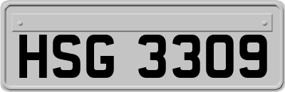 HSG3309