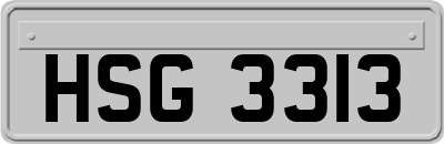 HSG3313
