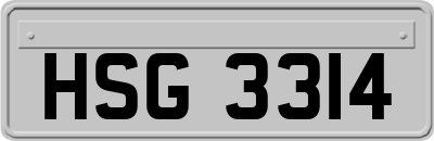 HSG3314