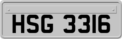 HSG3316