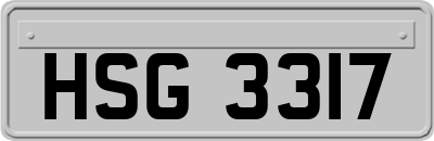 HSG3317