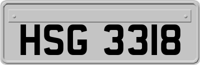 HSG3318