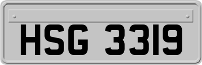 HSG3319