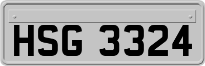 HSG3324