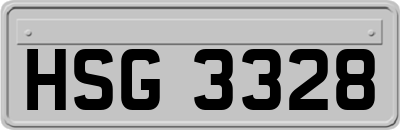 HSG3328