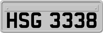 HSG3338
