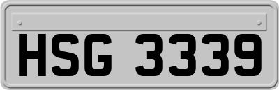 HSG3339
