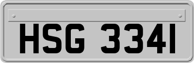 HSG3341