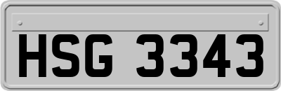 HSG3343