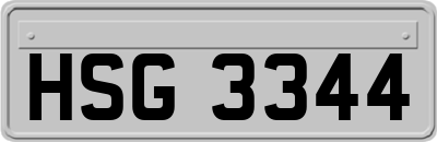 HSG3344