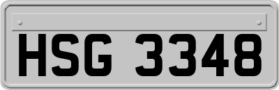 HSG3348