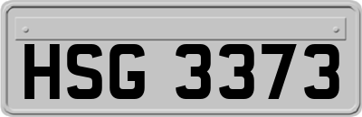HSG3373