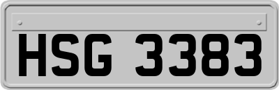 HSG3383