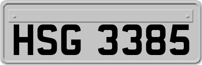 HSG3385