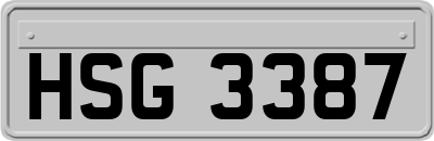 HSG3387