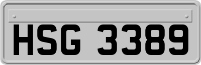 HSG3389