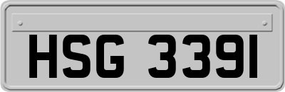 HSG3391