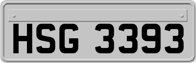 HSG3393