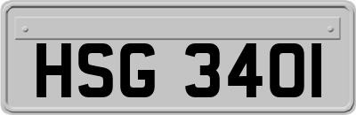 HSG3401