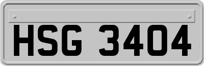 HSG3404
