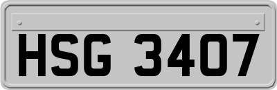 HSG3407