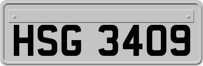 HSG3409