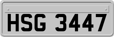 HSG3447