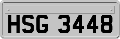 HSG3448