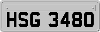HSG3480