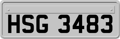 HSG3483