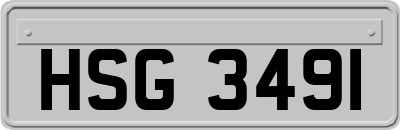 HSG3491