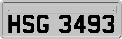 HSG3493