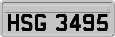HSG3495