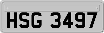 HSG3497