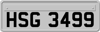 HSG3499