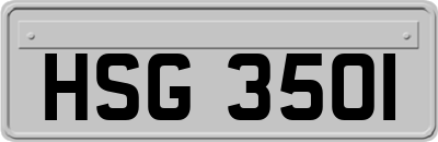 HSG3501