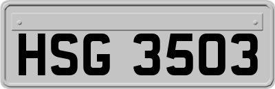 HSG3503