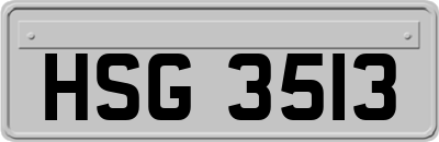 HSG3513