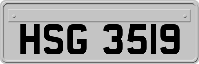 HSG3519