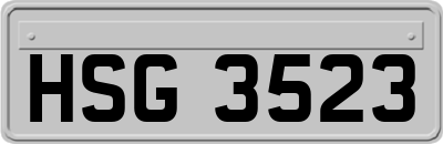 HSG3523