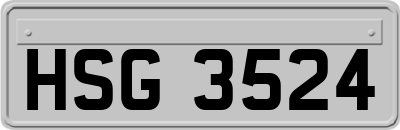HSG3524