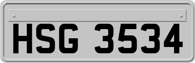 HSG3534