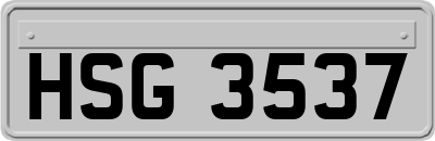 HSG3537
