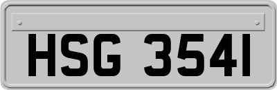 HSG3541