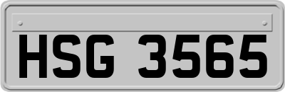 HSG3565